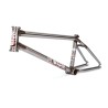 BSD 2025 STEEZE Frame 21’’ Clear Raw