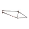 BSD 2025 STEEZE Frame 21’’ Clear Raw